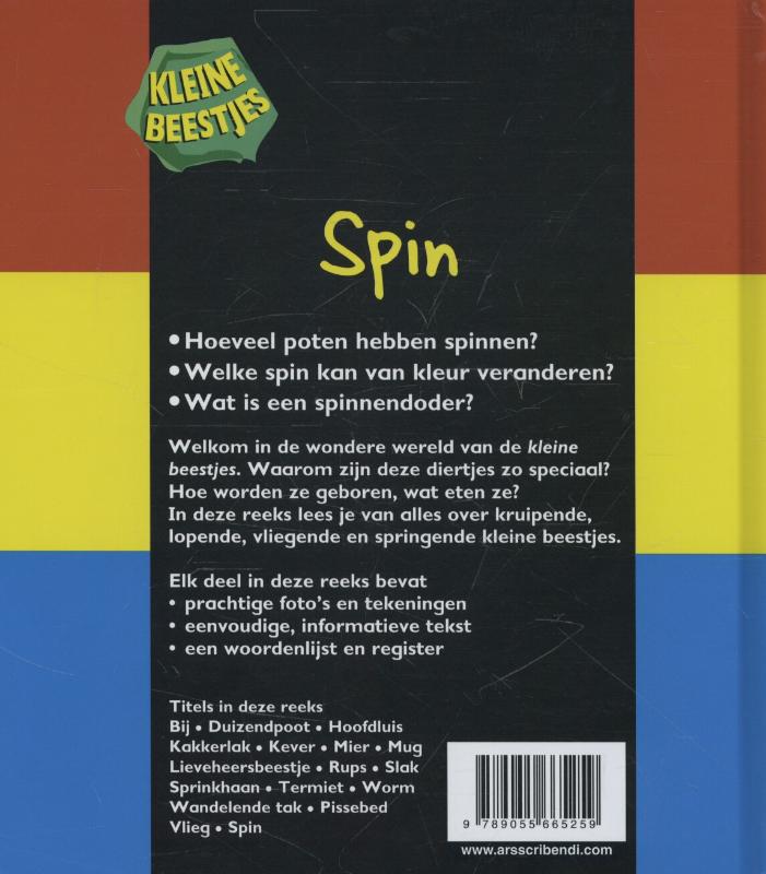 Kleine beestjes - Spin achterkant