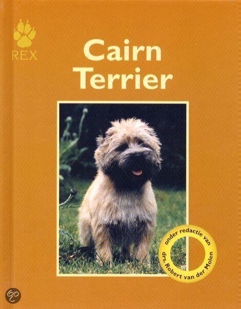 R. Jamieson Cairn Terrier thumbnail