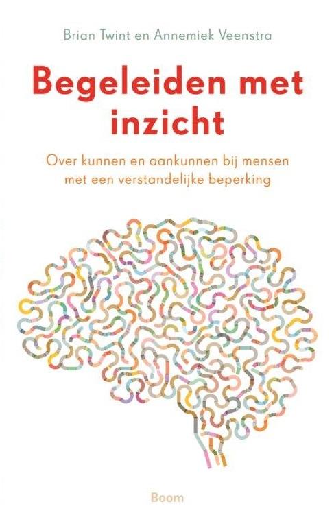 Annemiek Veenstra Begeleiden Met Inzicht