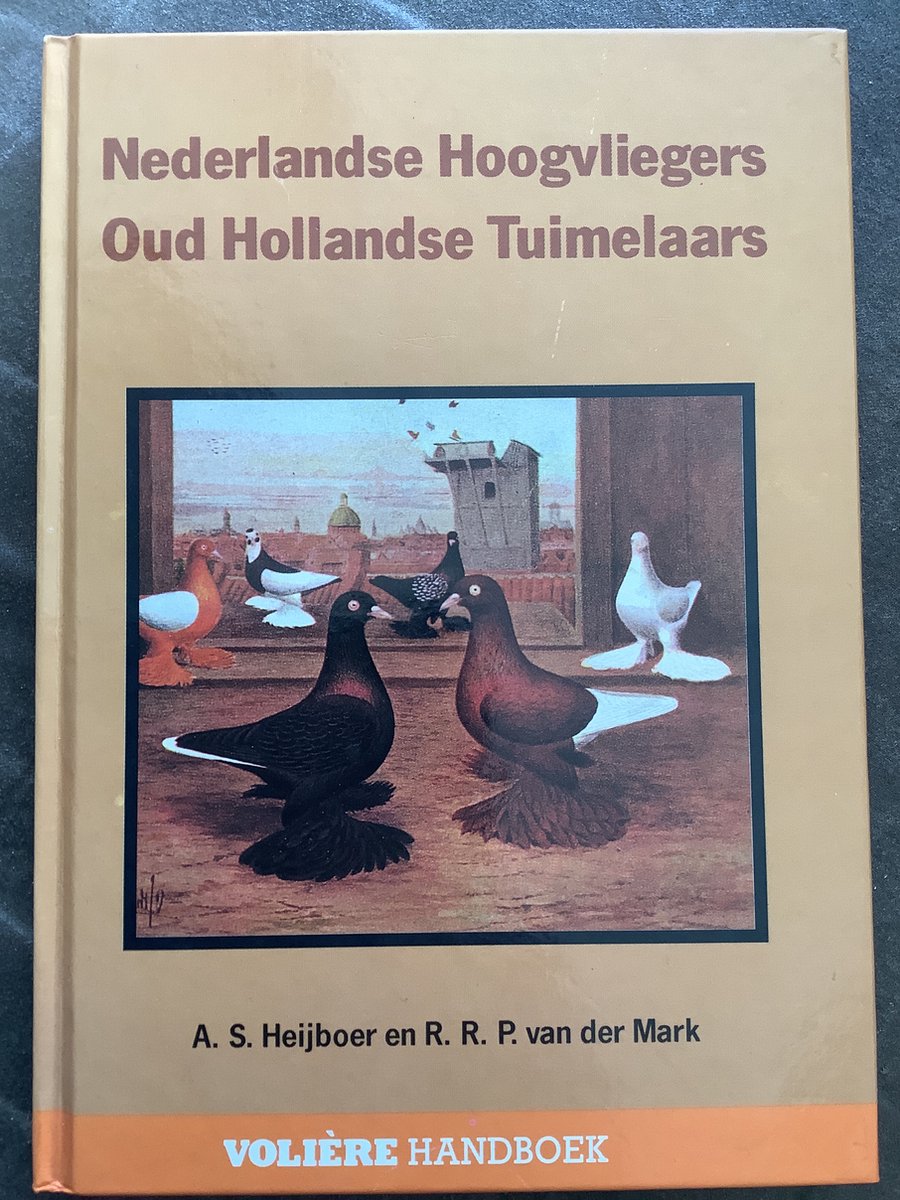 Nederlandse hoogvliegers en oud hollandse tuimelaars