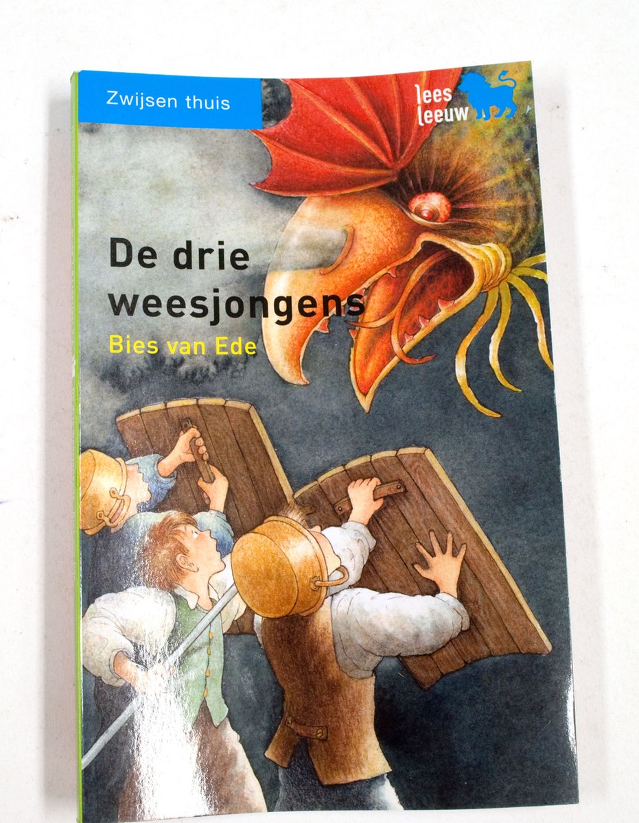 De drie weesjongens