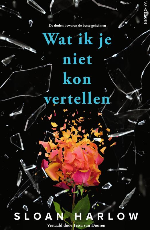 Wat ik je niet kon vertellen