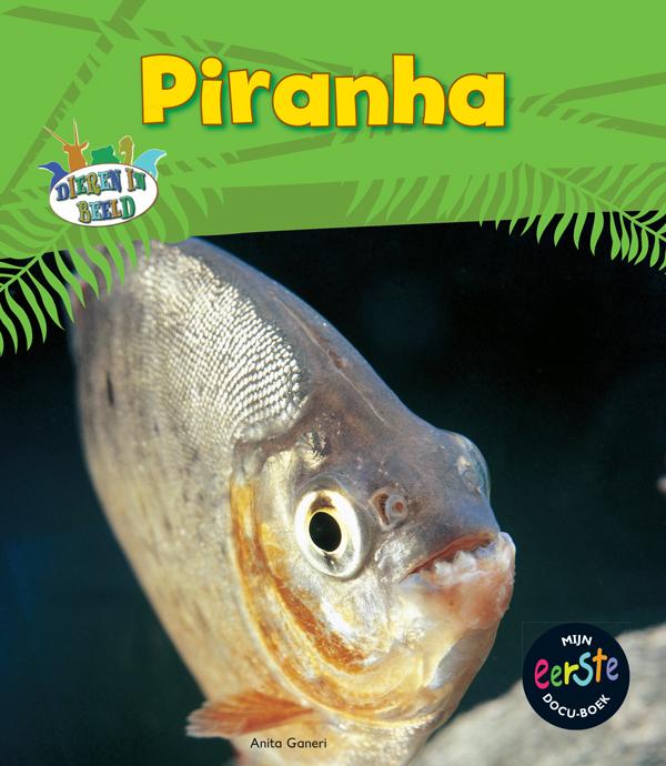 Piranha / Dieren in beeld