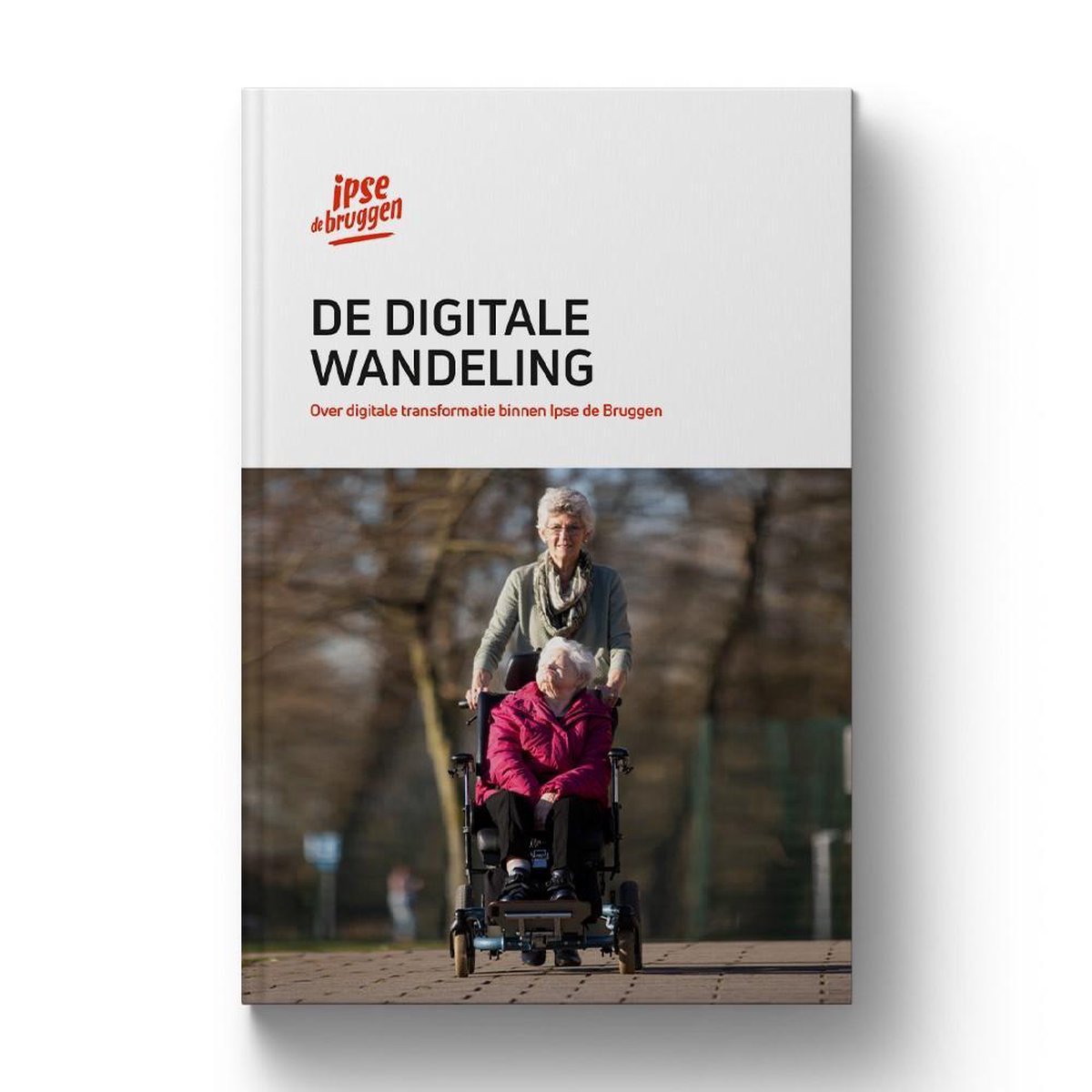 De digitale wandeling. Een handleiding bij ICT-transformatie in uw organisatie.