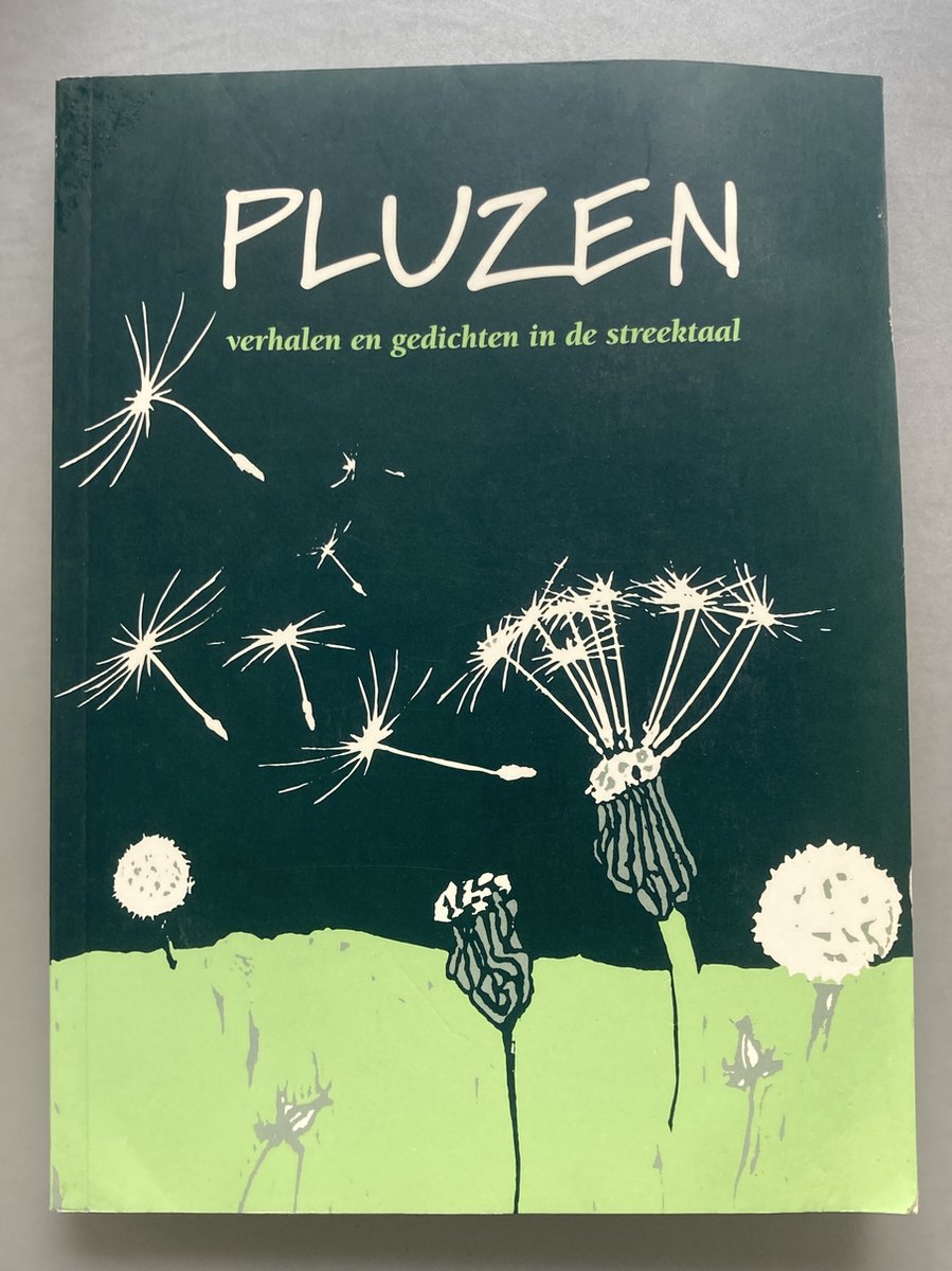 Pluzen / Publicaties van de IJsselacademie / 98