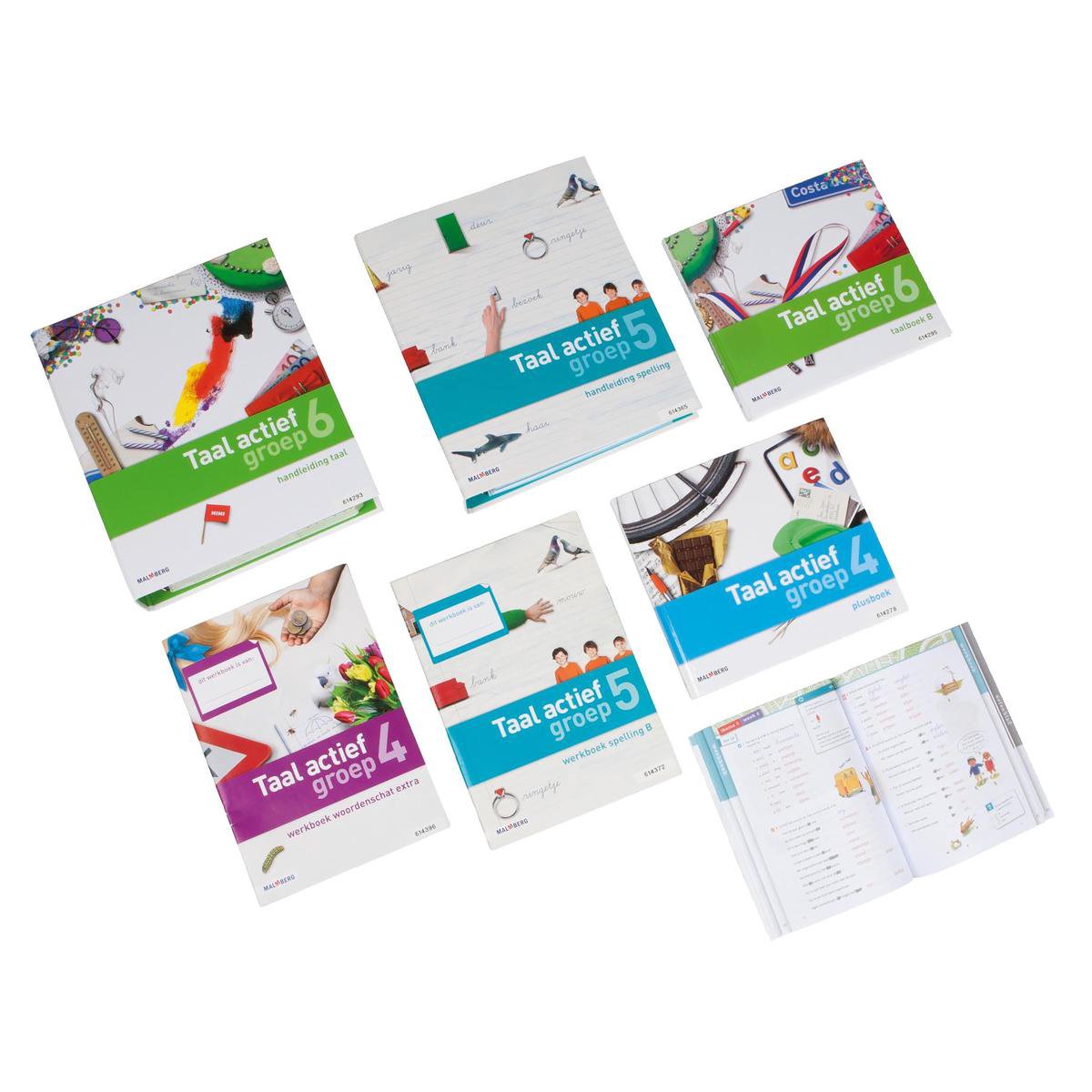 Taal actief Groep 7 Taal Plusboek