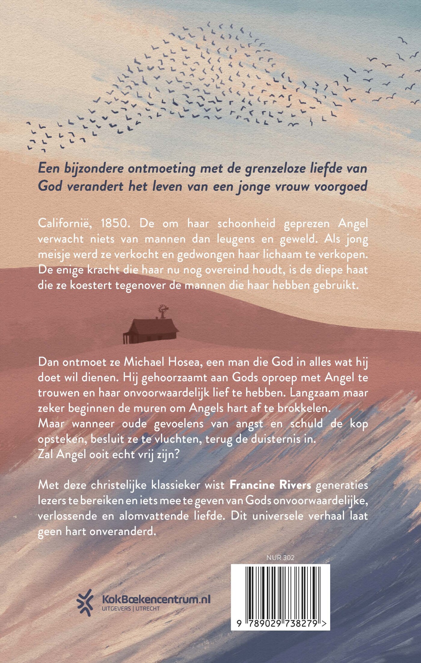 Bevrijdende liefde achterkant