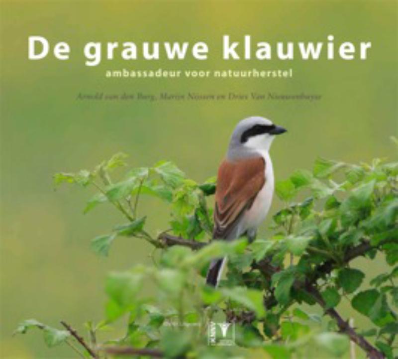 Arnold van den Burg De Grauwe Klauwier thumbnail