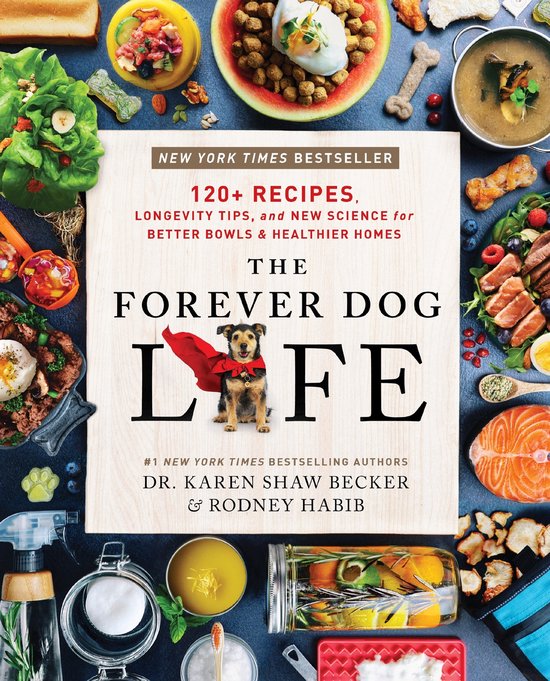 Rodney Habib The Forever Dog Life