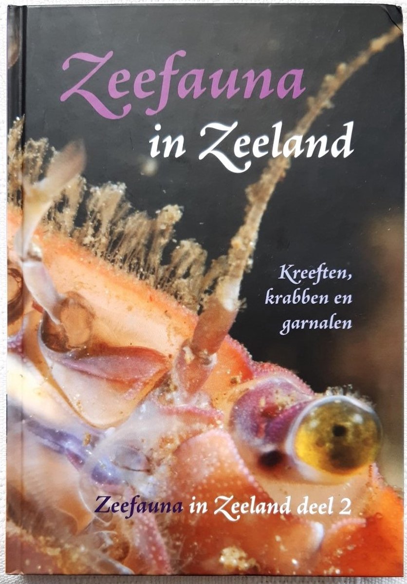 Zeefauna in Zeeland: Deel 2 Kreeften, krabben en garnalen in Zeeland