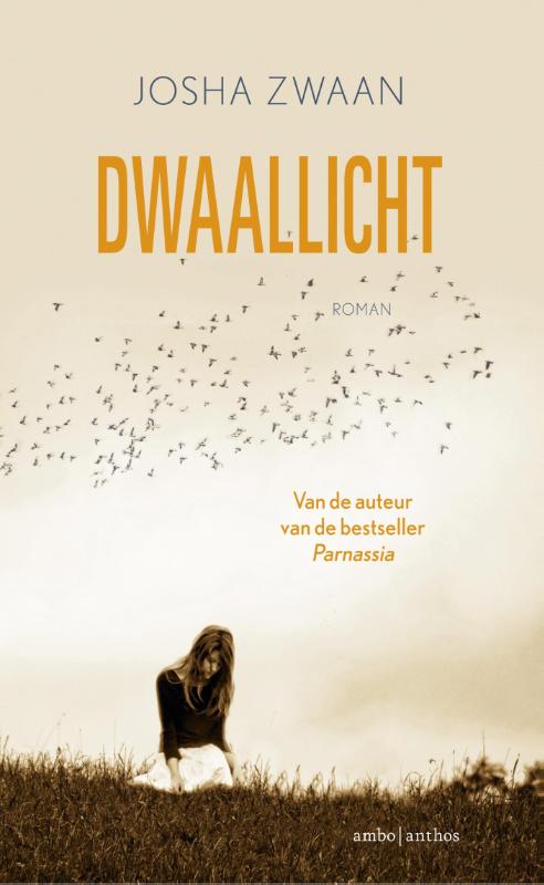 Josha Zwaan Dwaallicht thumbnail