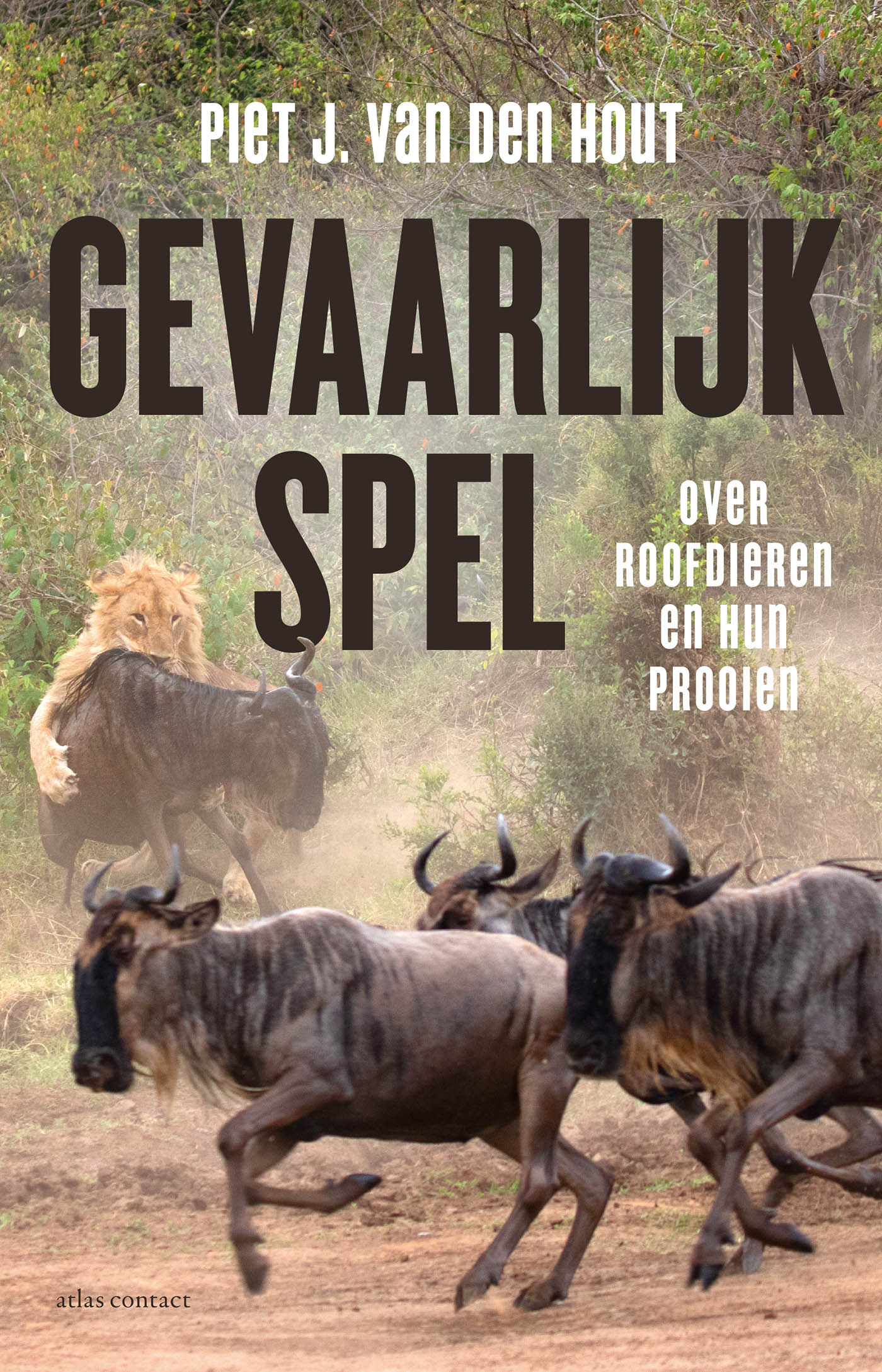 boekenbalie_9789045038742_cover Gevaarlijk spel