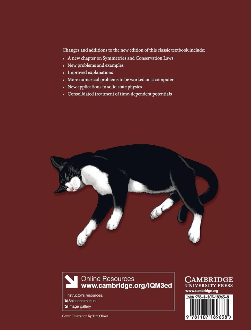 Introduction to Quantum Mechanics achterkant