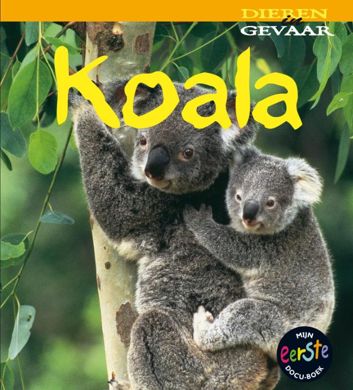 Koala / Dieren in gevaar