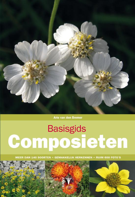 Basisgids composieten / Basisgids / 5