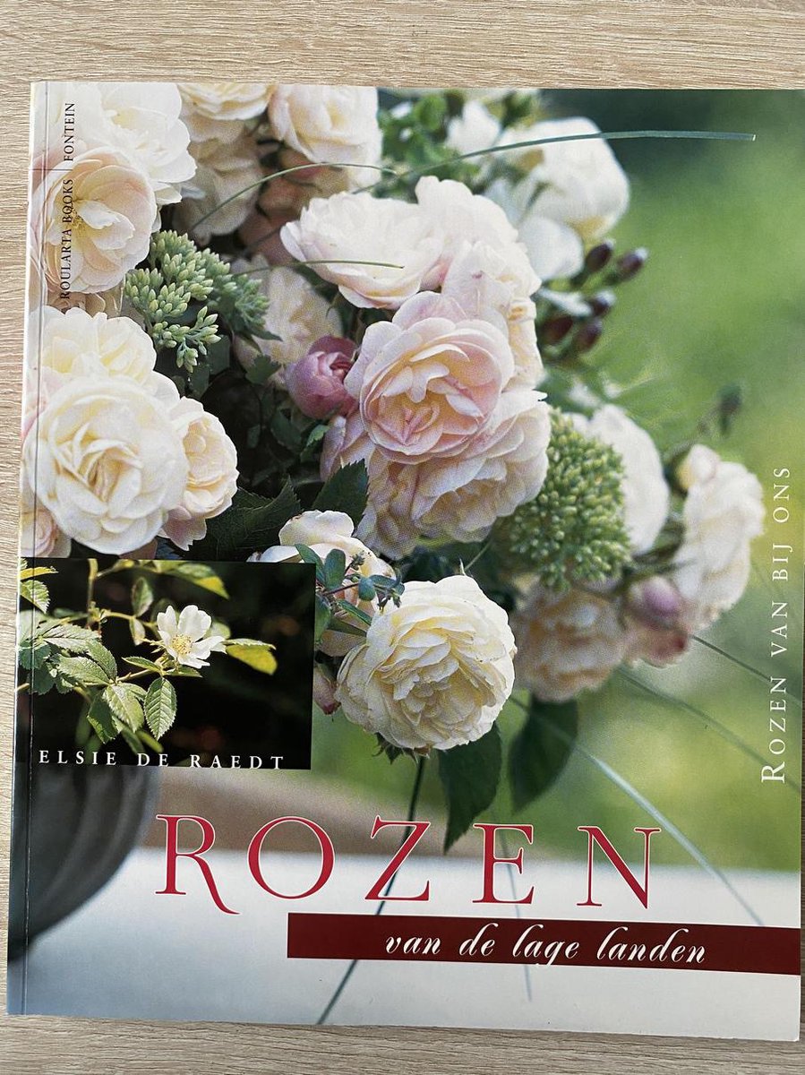 Rozen van de lage landen