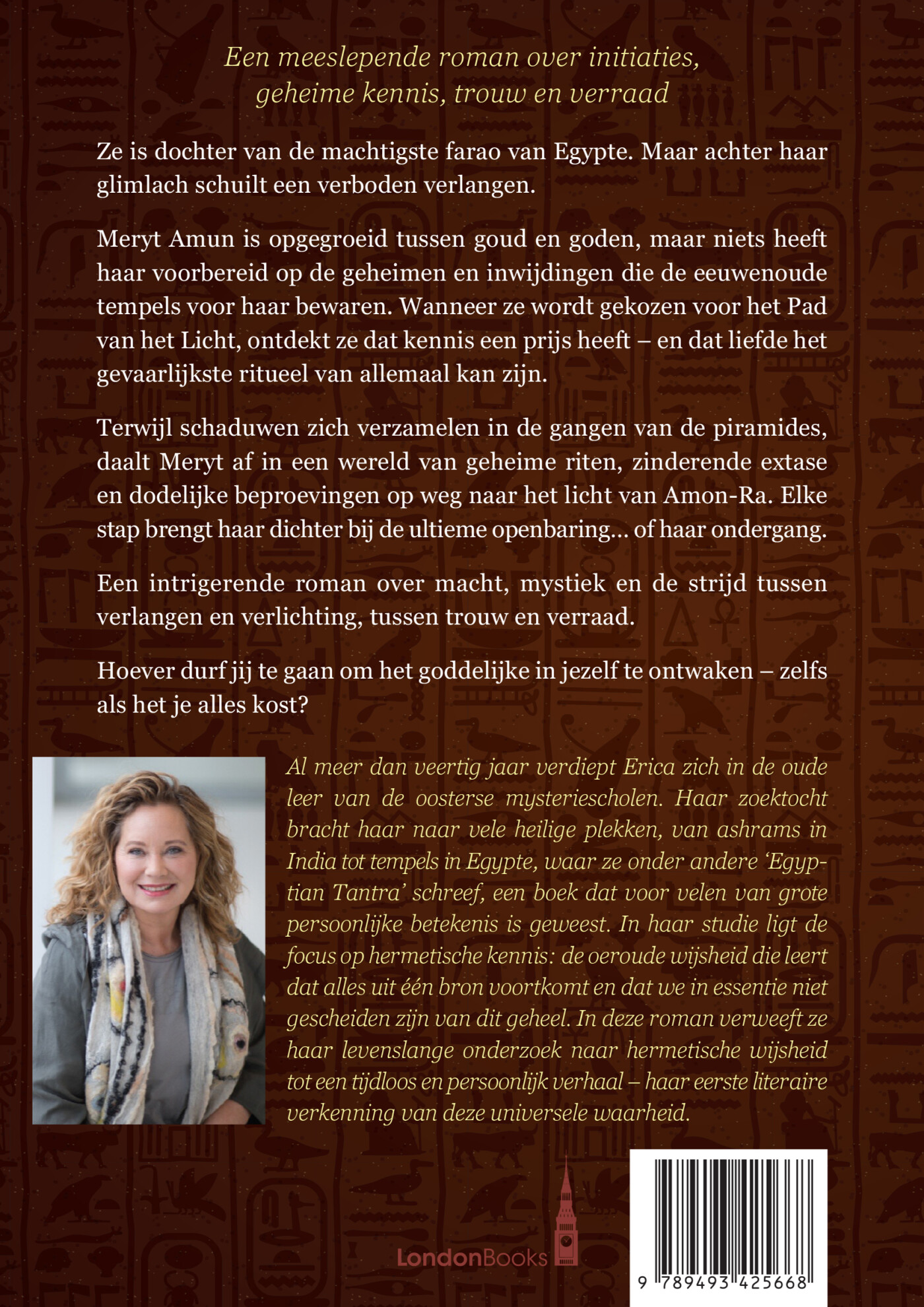 Fluisteringen van vergeten zand achterkant