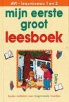 Mijn eerste groot leesboek