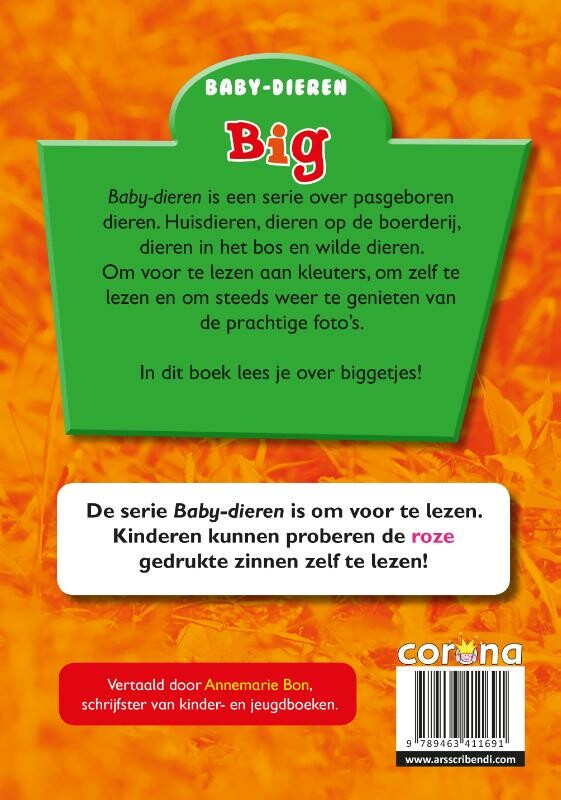 Big / Baby-dieren achterkant