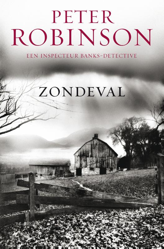 Zondeval / DCI Banks / 4