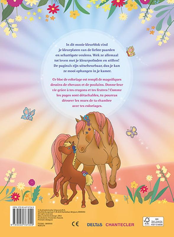 Ik hou van paarden kleurblok / J'aime les chevaux bloc de coloriage achterkant