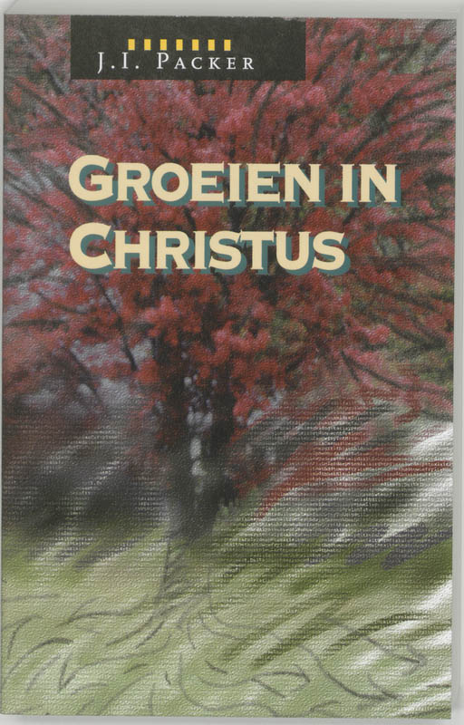 J.I. Packer Groeien In Christus thumbnail
