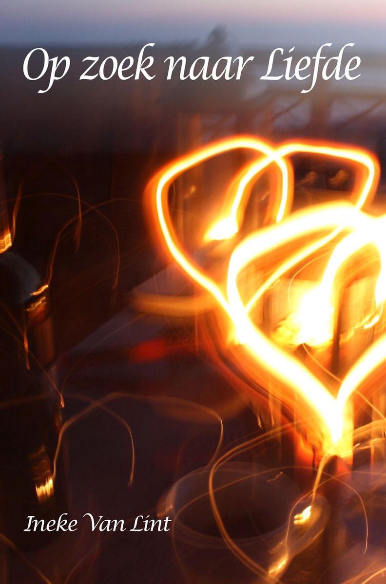 boekenbalie_9789082138740_cover Op zoek naar liefde
