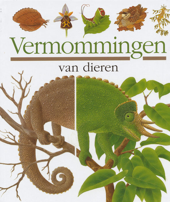 Vermommingen van dieren / Mijn eerste ontdekkingen