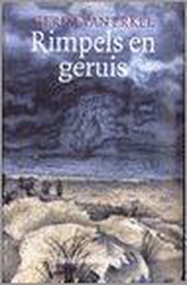 boekenbalie_9789065658937_cover Rimpels en geruis
