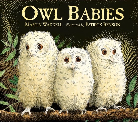 Owl Babies 1