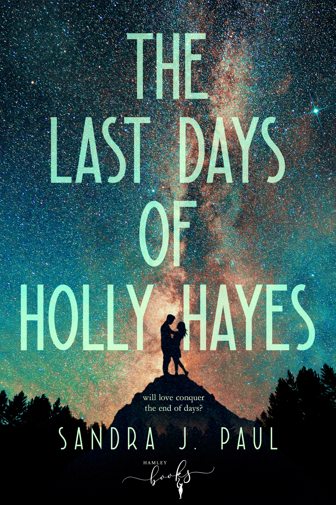 The Last Days of Holly Hayes achterkant